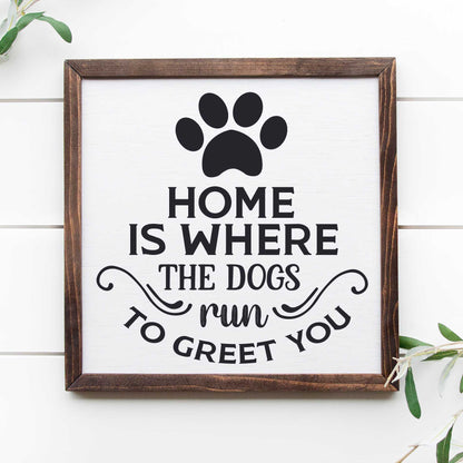 Pet Lover Collection