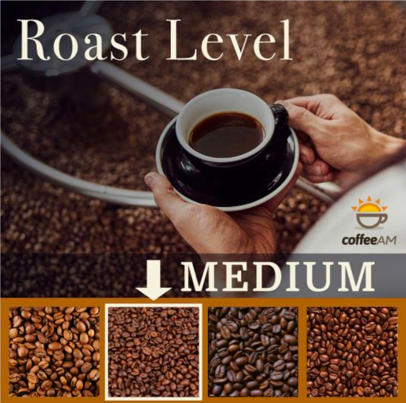Bali 'Paradise Valley' Coffee