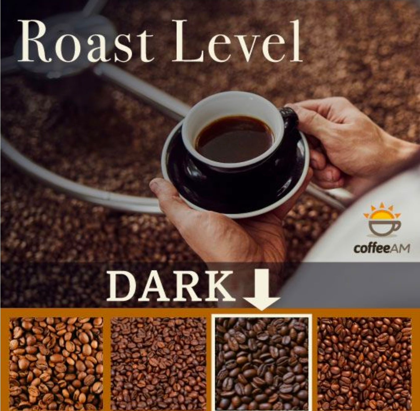 Sumatra Black Satin Coffee